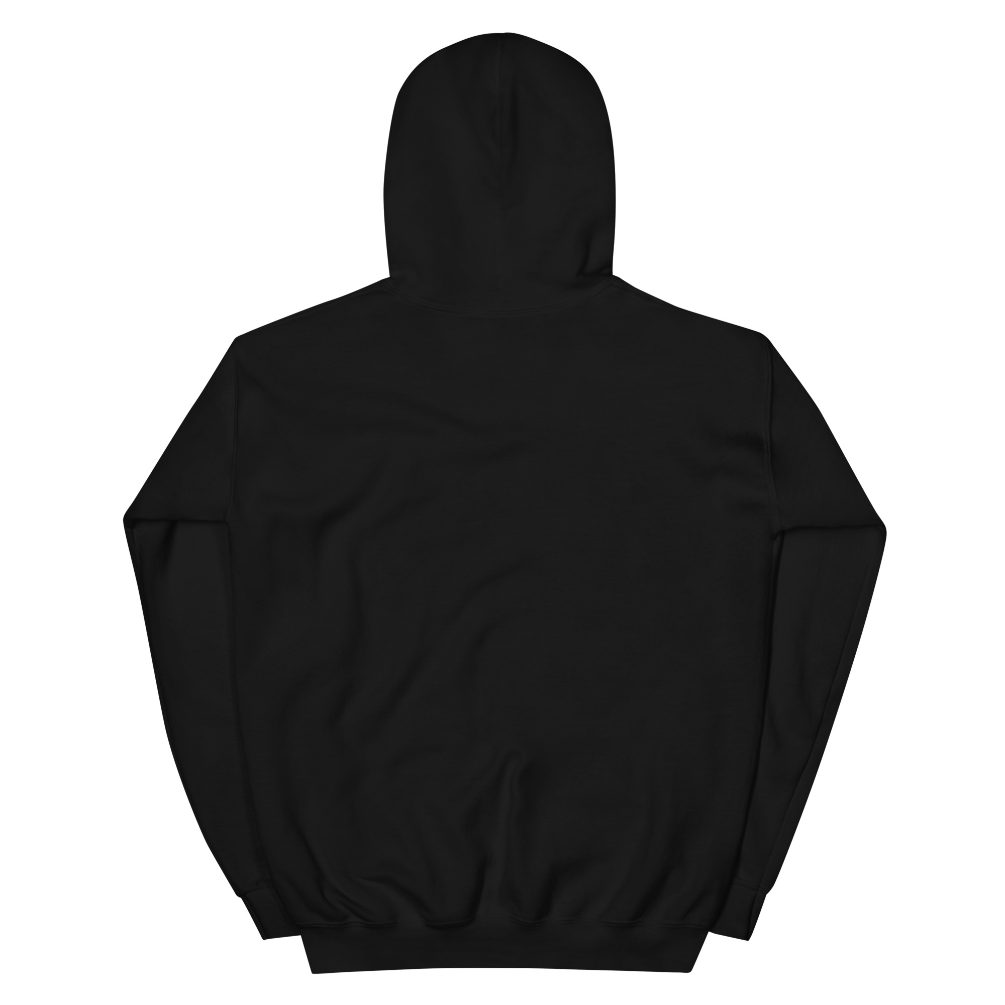 Adult Hoodie – Nutrition, Fitness & Self-Defense - Image 2